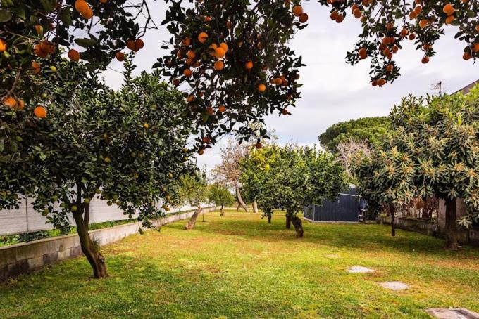 Oasi Agrumi e Mare - Casa con 2 Camere da Letto - 32