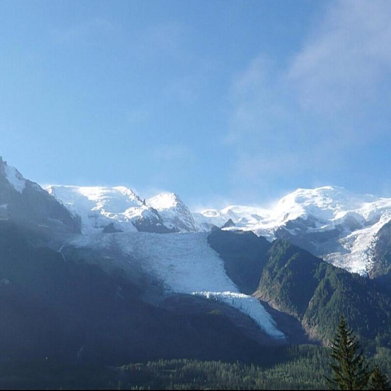 Charming T3 with terrace in Chamonix - Appartement - 9