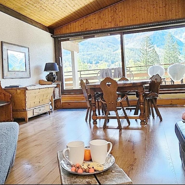 Charming T3 with terrace in Chamonix - Appartement - 2