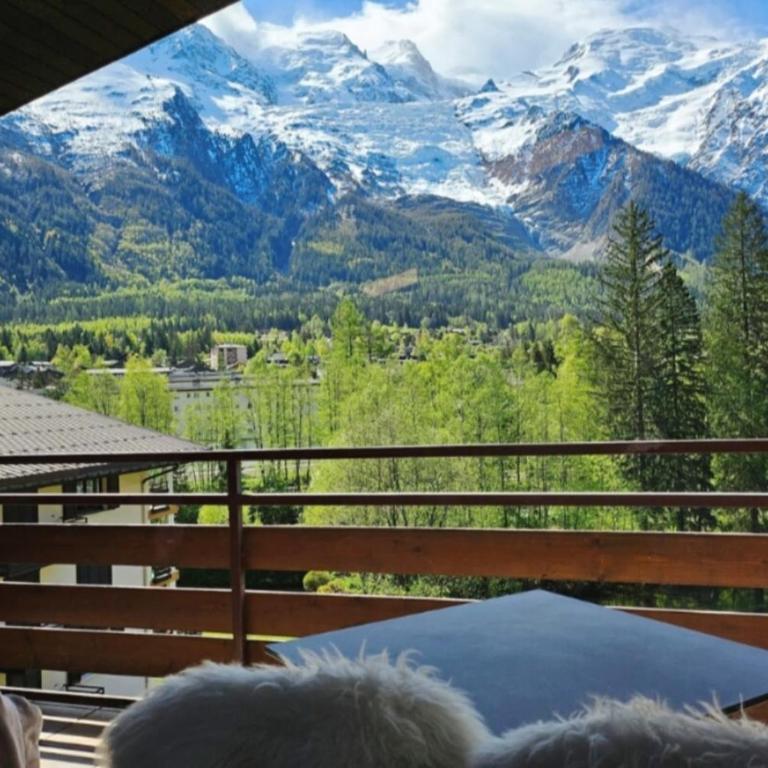 Charming T3 with terrace in Chamonix - Appartement - 1