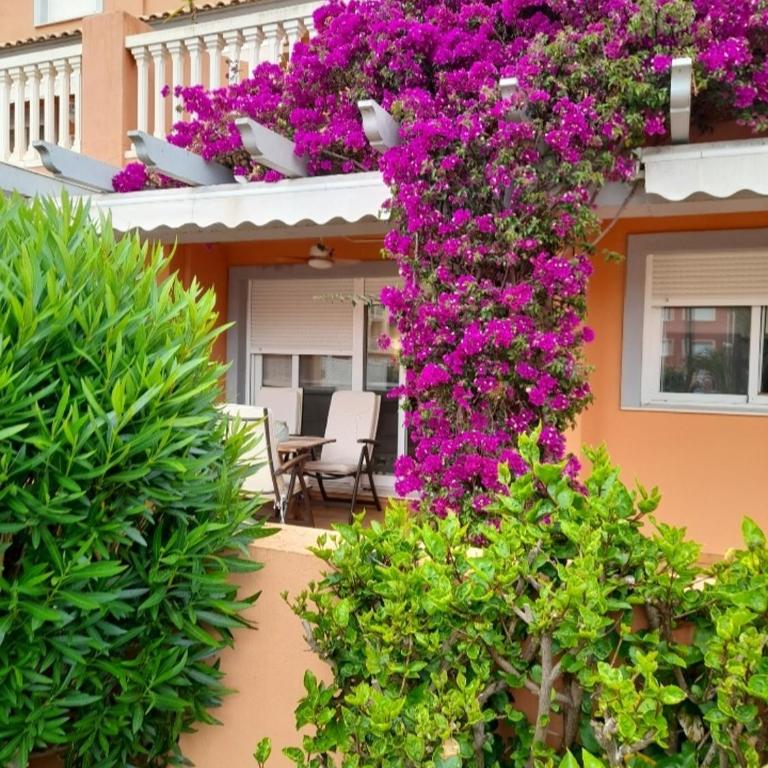Apartamento Premium en planta baja junto al Parador y playa del Arenal - Apartamento de 2 dormitorios - 21