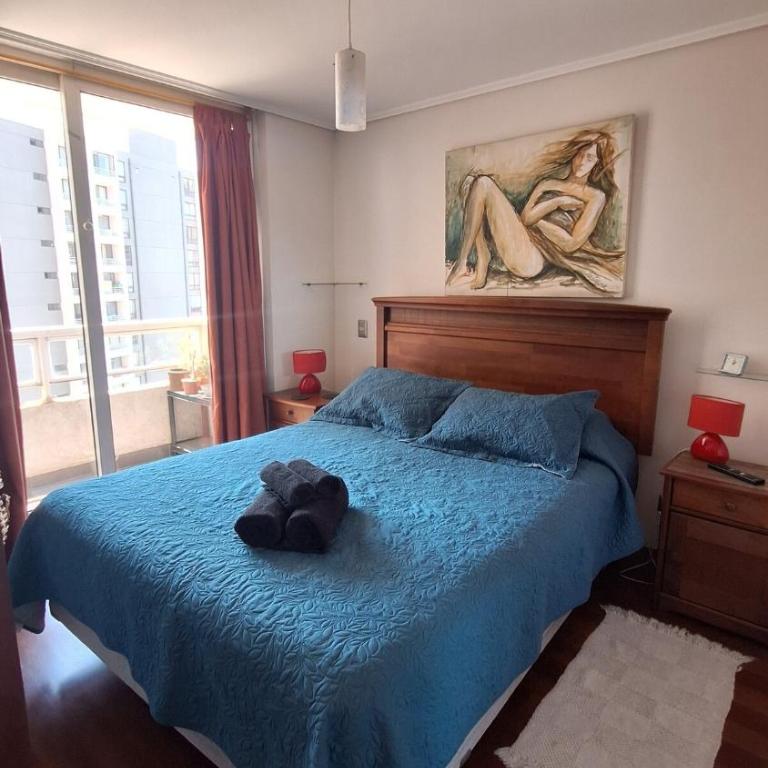 10 minutes from the Congress and the Sea - Apartamento de 1 dormitorio - 11