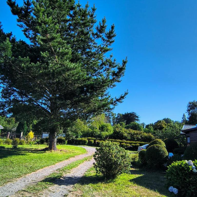 Cabañas Lago Llanquihue - Apartamento de 2 dormitorios - 28