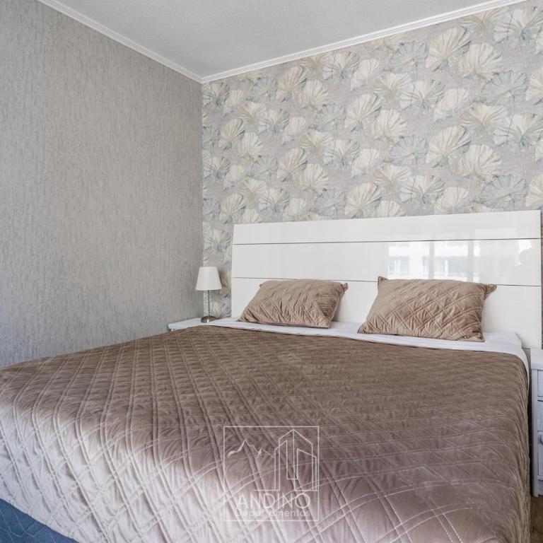 ANDINO DEPARTAMENTOS A pasos del Palacio de la Moneda - Apartamento Estándar de 3 dormitorios - 5