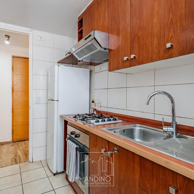 ANDINO DEPARTAMENTOS A pasos del Palacio de la Moneda - Apartamento Estándar de 3 dormitorios - 10