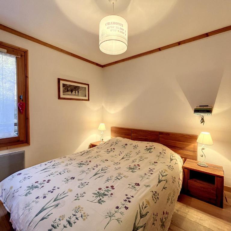 Chamonix - Location 4 pers, 41 m² - FR-1-507-80 - Apartment - 5