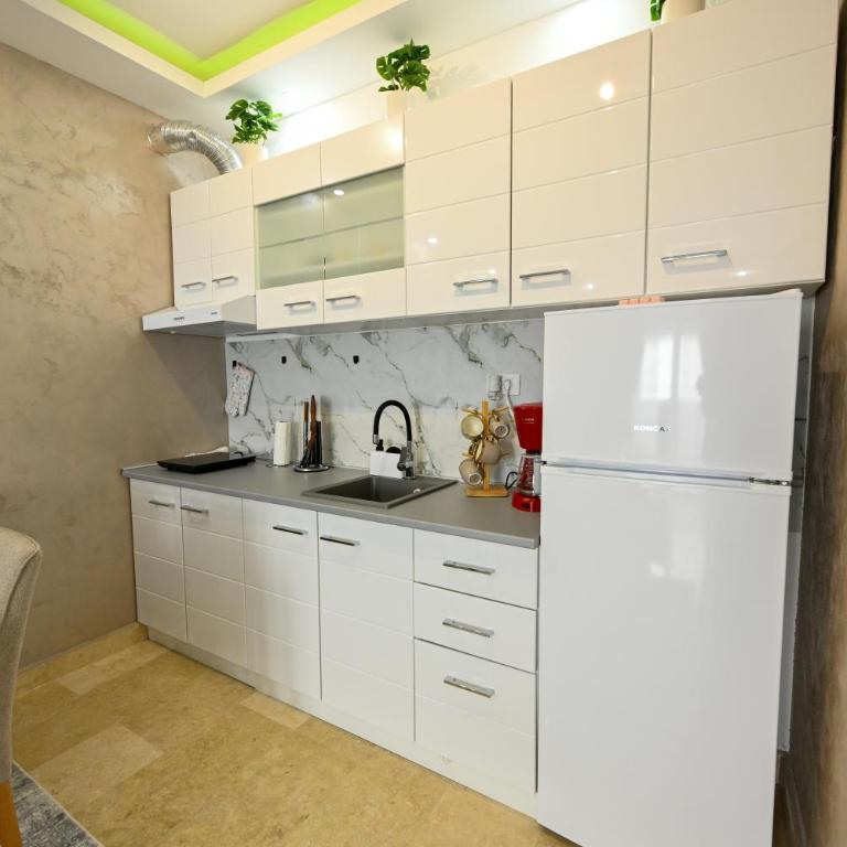 Mario king 61 - Apartman sa 1 Spavaćom Sobom - 42