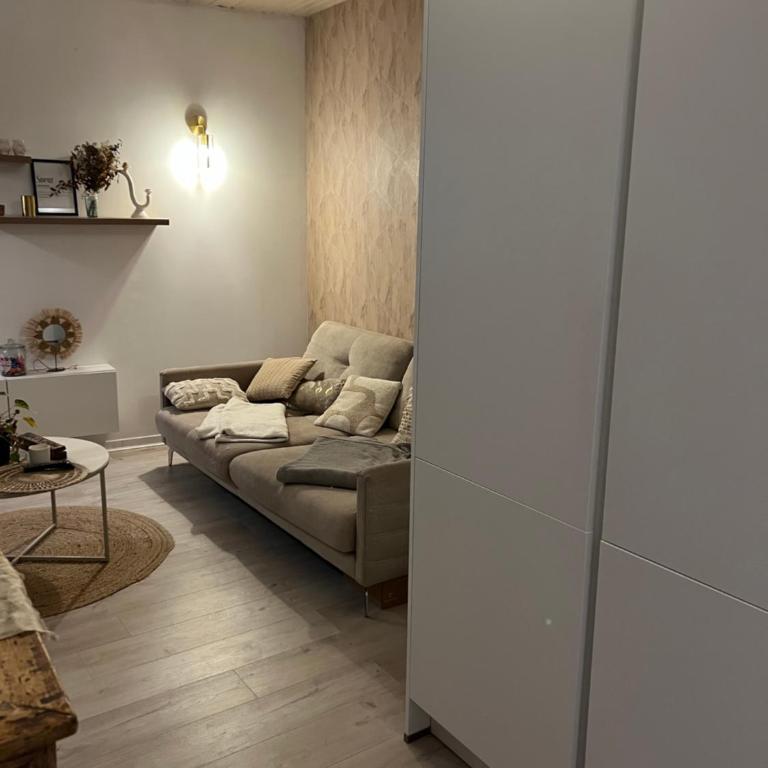 Superbe appartement hypercentre Royale Châtelet - Appartement 1 Chambre - 4