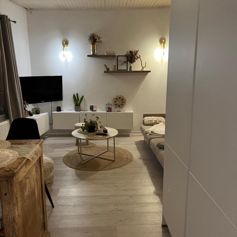 Superbe appartement hypercentre Royale Châtelet - Appartement 1 Chambre - 6