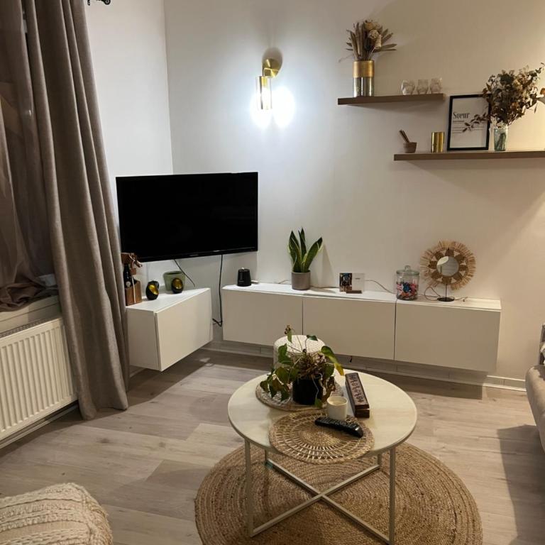 Superbe appartement hypercentre Royale Châtelet - Appartement 1 Chambre - 3