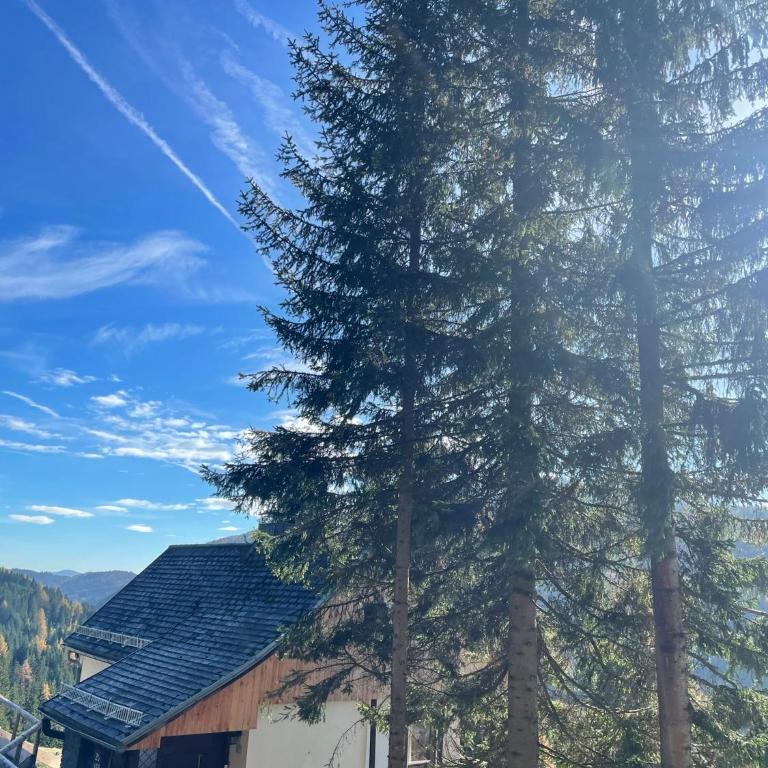 LaLo Alm - Berge erleben - Chalet mit 3 Schlafzimmern - 34