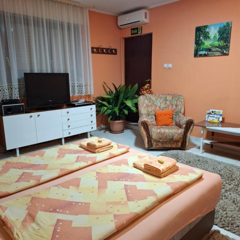 Nela Apartmani - Apartman sa 2 Spavaće Sobe - 13