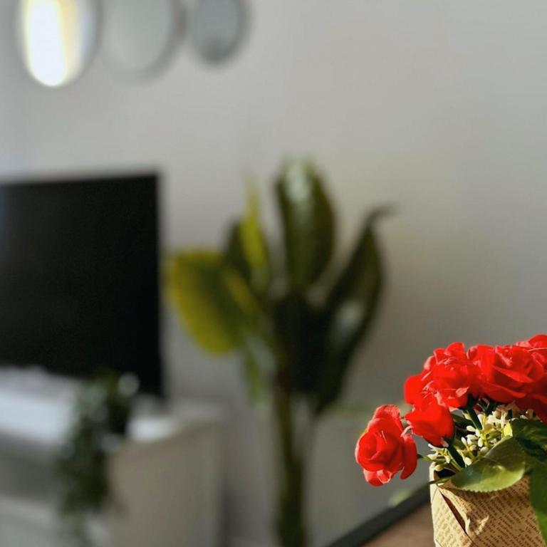 COSY PALM BEACH, Studio près de la mer et de la Croisette - Studio Deluxe - 20