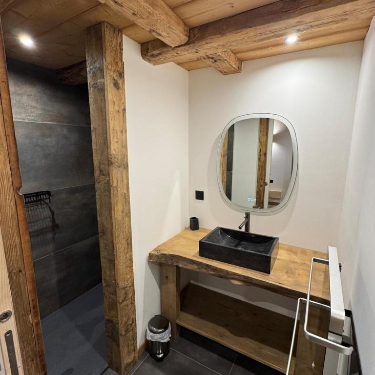 Le grand cerf - Apartment mit 2 Schlafzimmern - 10