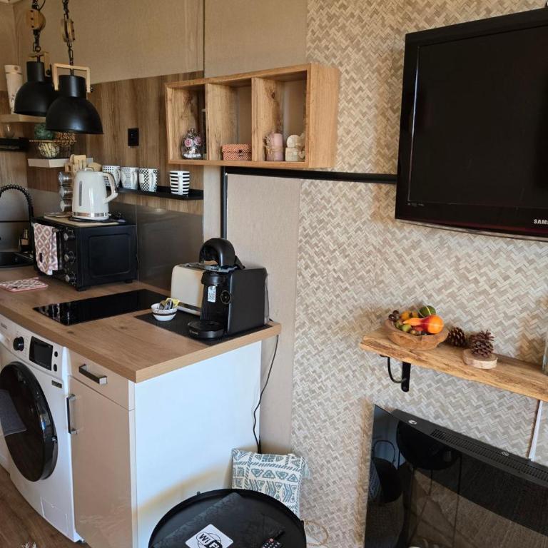 Vacances en paradis - Appartement 1 Chambre - 100