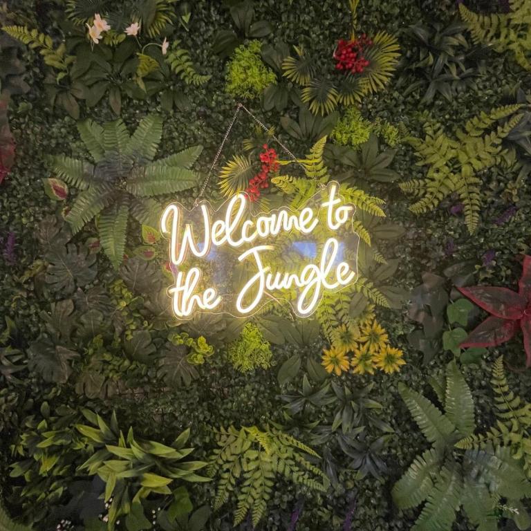 Jungle Room - Atypique - Spacieux - WIFI - TV 4K - Vue Sur Ville - Confort - Appartamento con Vista Città - 2
