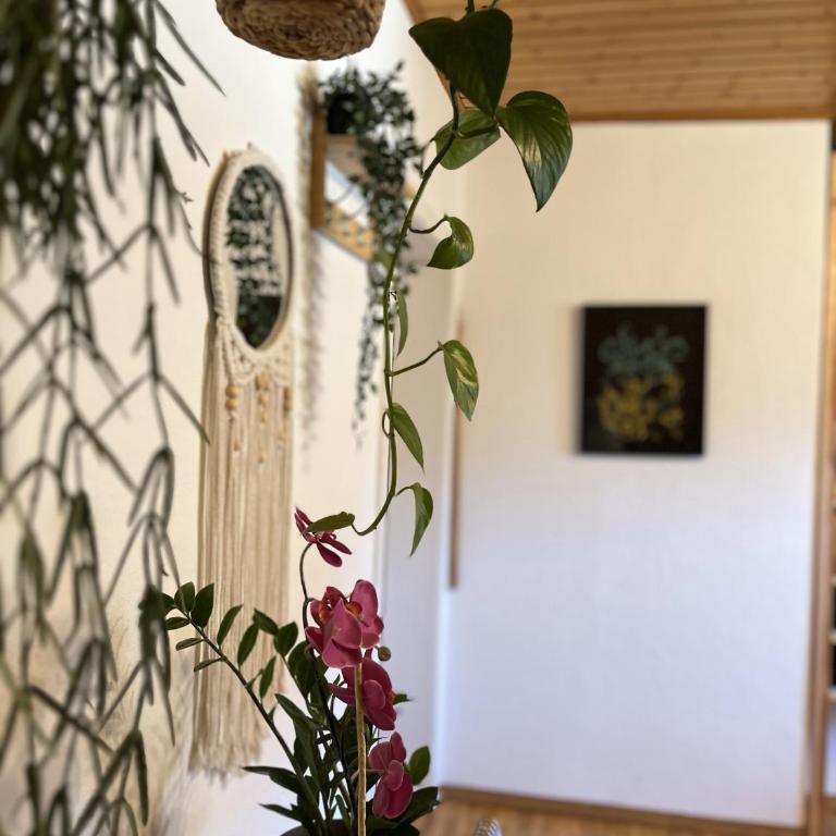 Adagio-Linz Pöstlingberg - Apartment mit 2 Schlafzimmern und Aussicht - 20