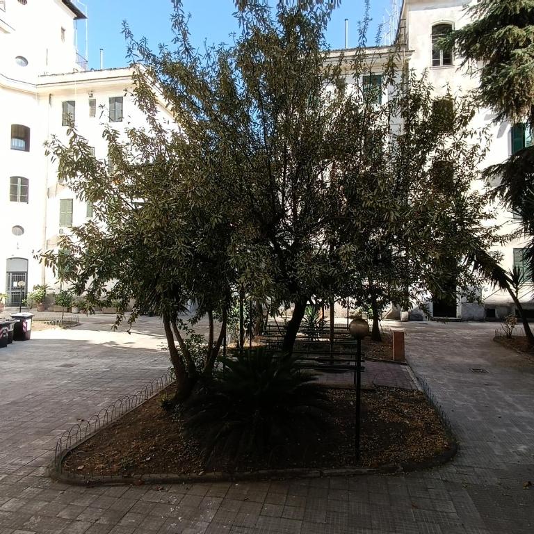 Testaccio Charme Apt - Appartamento con 2 Camere da Letto - 59