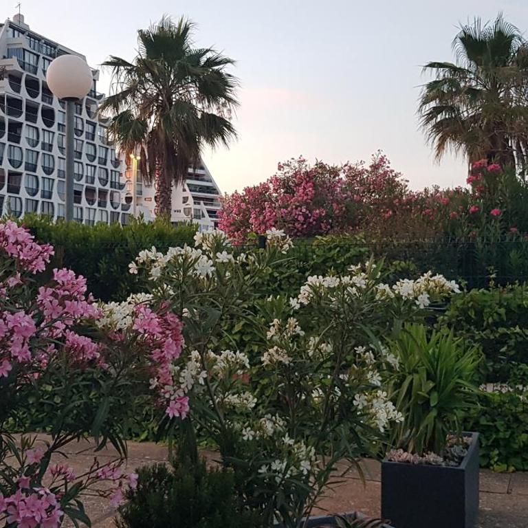 Grand T2 Ensoleillé 47m2 3 Etoiles - Apartamento de 1 dormitorio - 29