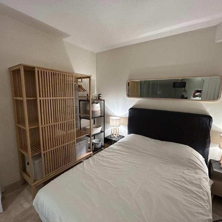 A050-Studio avec jardin prive Cannes pres de la plage - Appartement - 20