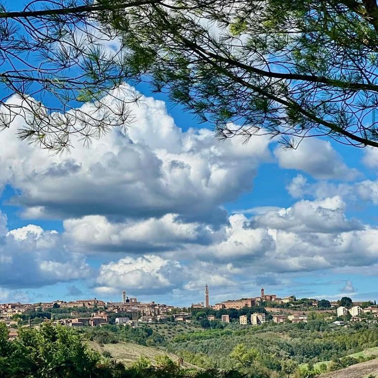 Agriturismo La Terrazza sul Mangia - Appartamento con 2 Camere da Letto - 2