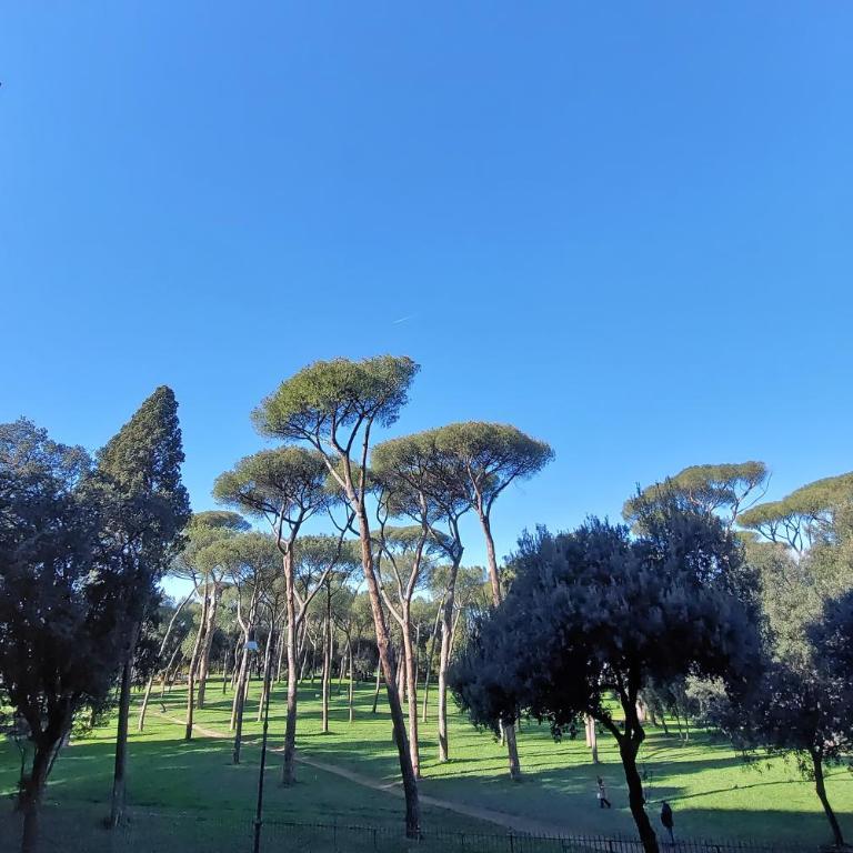 Borghese Park View - My Extra Home - Appartamento con 2 Camere da Letto - 28
