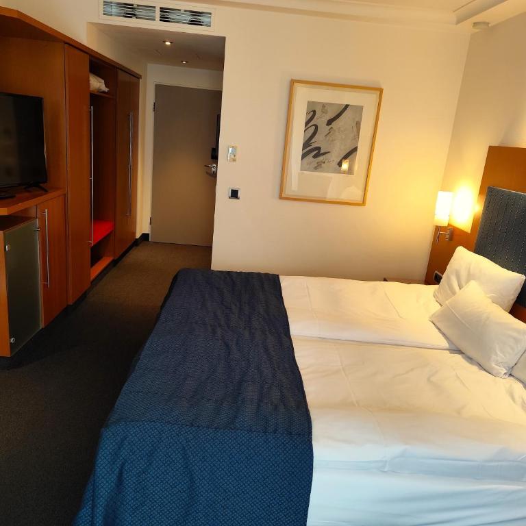 Hotel Erzgiesserei Europe - Habitación Doble Estándar - 8