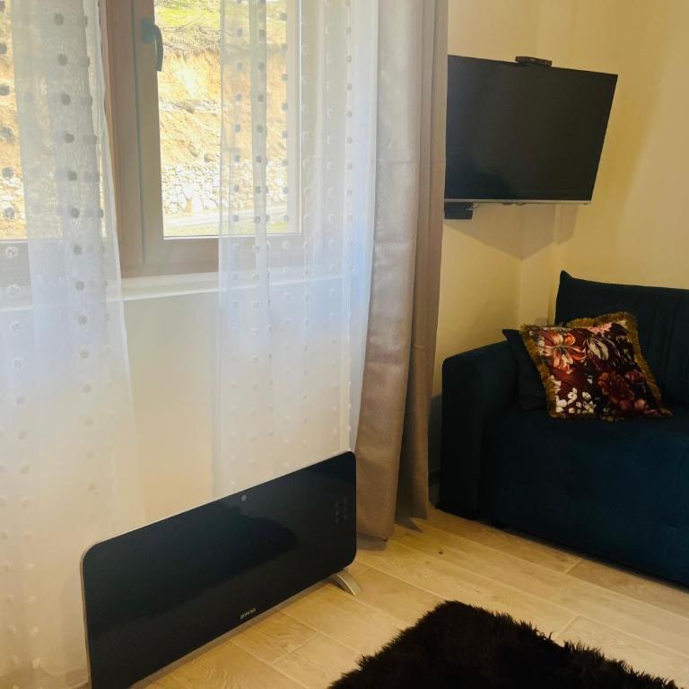 Gold Apartments Kopaonik - Apartment with Mountain View - 9