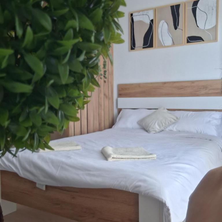 Ella Lux Apartment - Apartman - 3