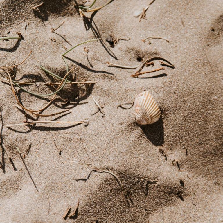 La Cabane du Mas Andalou Plage première ligne de mer - Appartement - Rez-de-Chaussée - 8