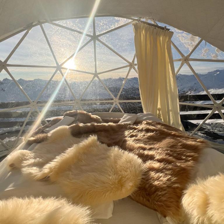 Berghotel Pischa Mountain Lodge - Bungalow - 4