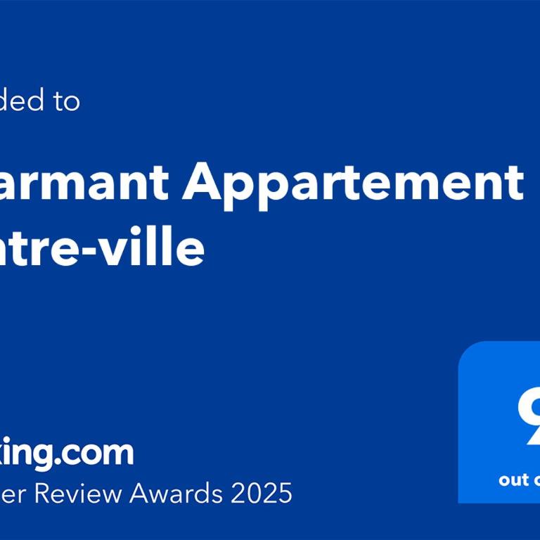 Charmant Appartement centre-ville - Appartement 2 Chambres - 16