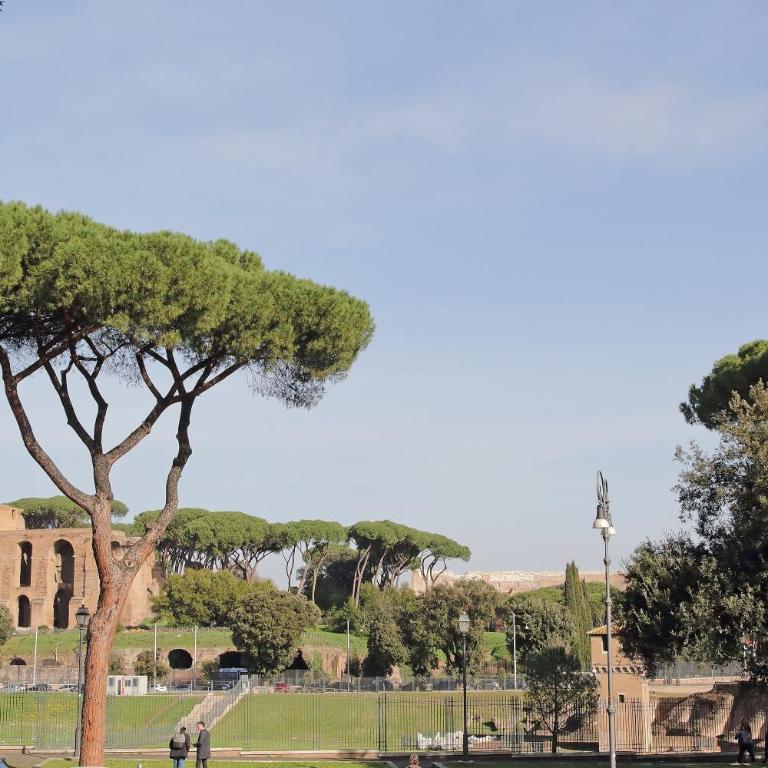 YCH-Exclusive apartment on Circus Maximus - Appartamento con 1 Camera da Letto - 39