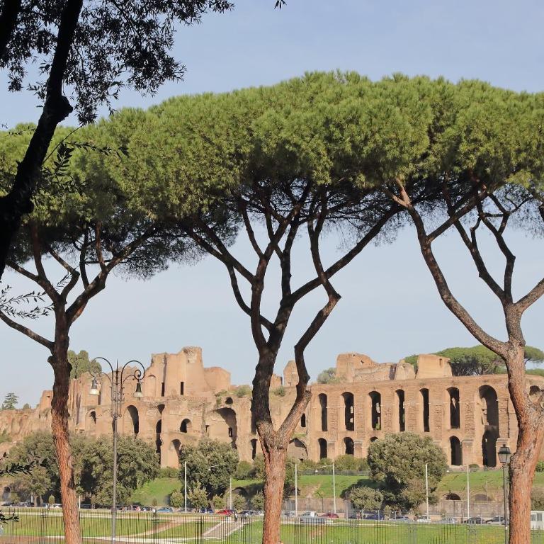 YCH-Exclusive apartment on Circus Maximus - Appartamento con 1 Camera da Letto - 37