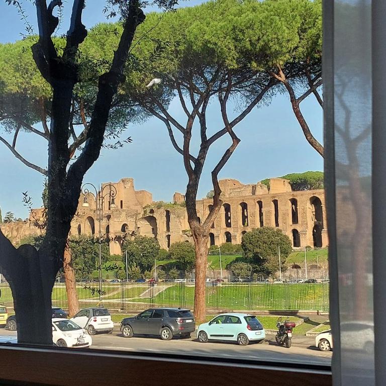YCH-Exclusive apartment on Circus Maximus - Appartamento con 1 Camera da Letto - 40