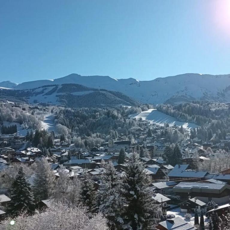 Appartement 1 chambre et mezzanine à Megève avec balcon et animaux admis - FR-1-453-57 - Apartment (4 Erwachsene) - 11