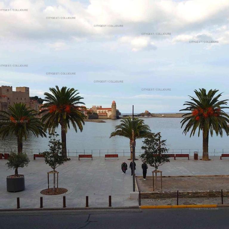 4DEMO46 - Collioure appartement T2 plage et vue - Appartamento con Vista Mare - 1