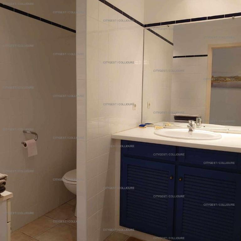 4DEMO46 - Collioure appartement T2 plage et vue - Appartamento con Vista Mare - 9