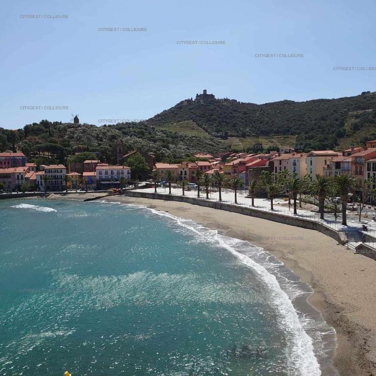 4DEMO46 - Collioure appartement T2 plage et vue - Appartamento con Vista Mare - 16