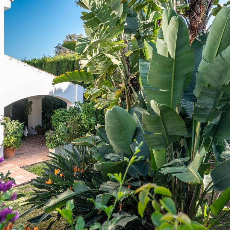 Villa in Marbella with golf views - Villa - 9