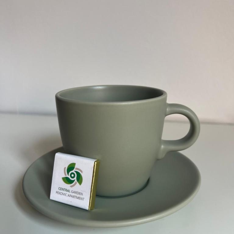Central Garden Pekovic - Apartman sa 1 Spavaćom Sobom - 11