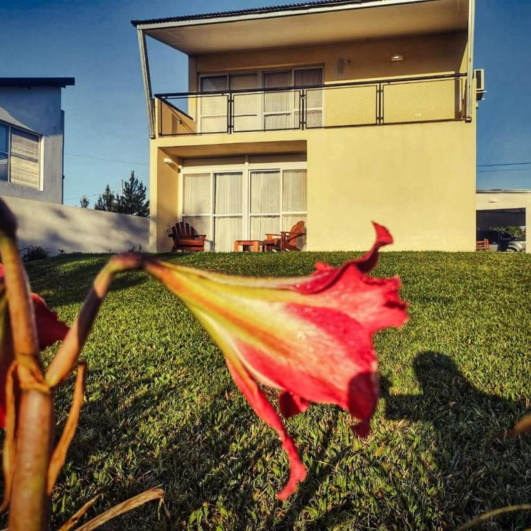 Serendipia Santa Ana - Two-Bedroom House - 1