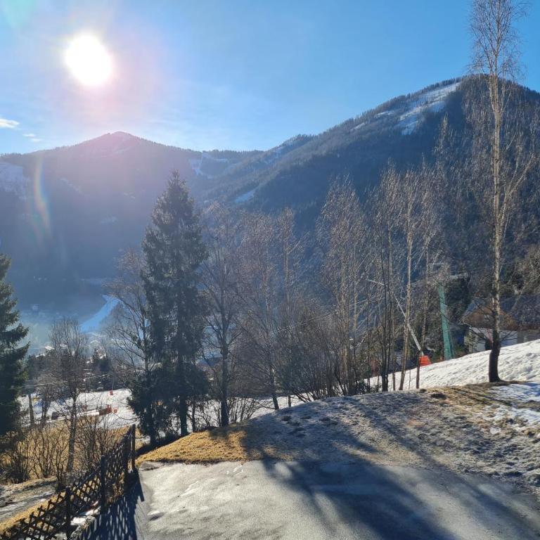 Chalet Ski in by Globalimmoservice - Haus mit 1 Schlafzimmer - 23