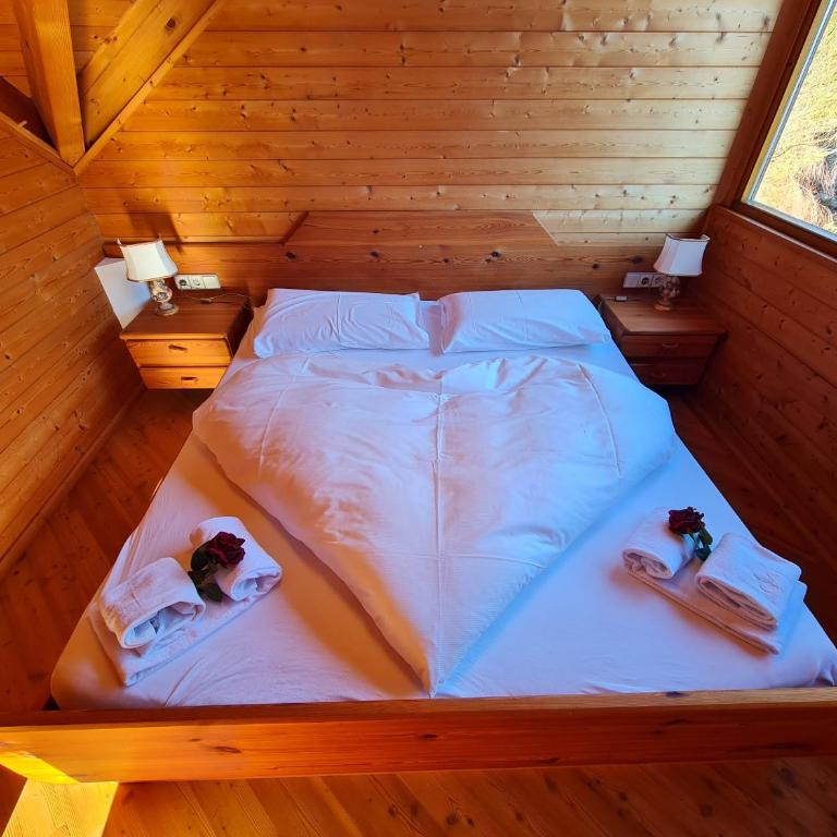 Chalet Ski in by Globalimmoservice - Haus mit 2 Schlafzimmern - 3