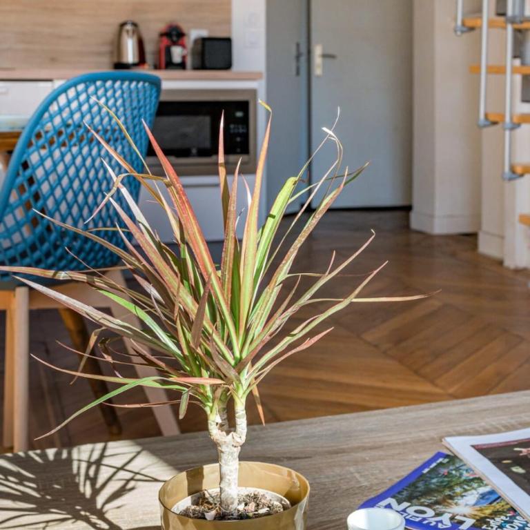 Le Royale Haussman Junior suite - Louis Pradel - Netflix - Apartment - 14