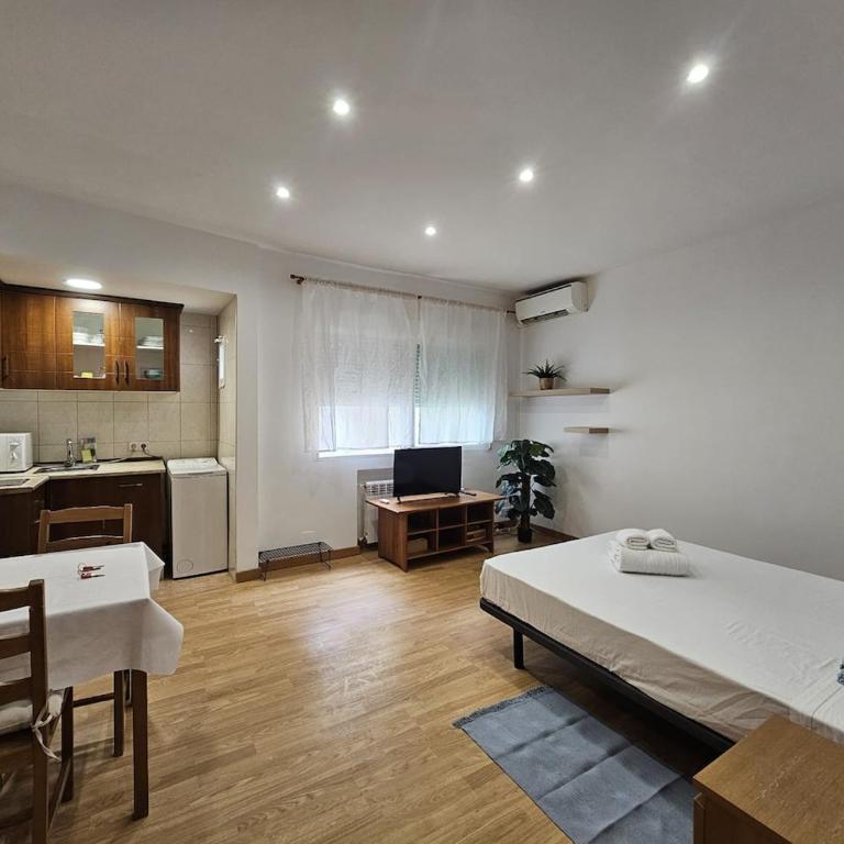 Magico estudio en Plaza España - One-Bedroom Apartment - 2