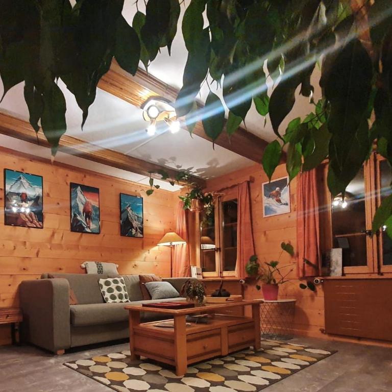 Chalet le Muveran - Chalet mit 1 Schlafzimmer - 2