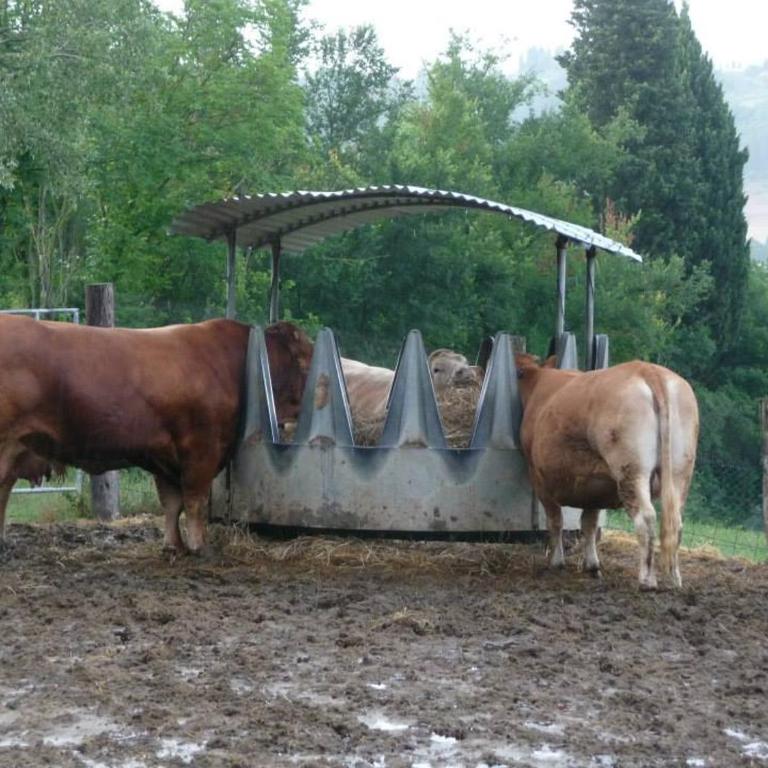 Tenuta Borgo al Sole - Appartamento con 2 Camere da Letto - 4