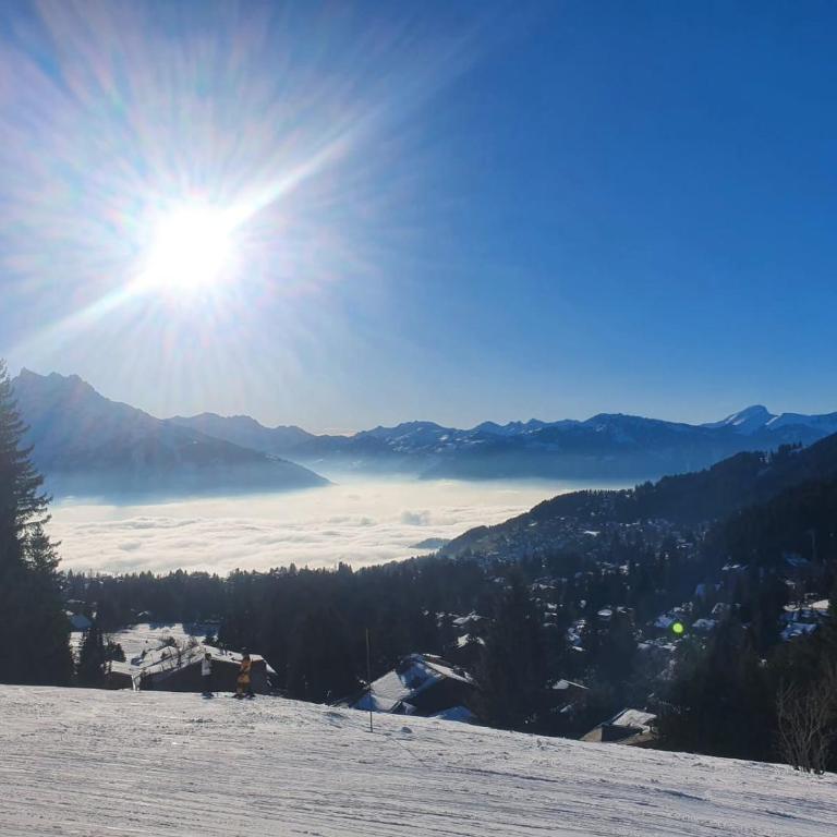 Chalet le Muveran - Chalet mit 1 Schlafzimmer - 12