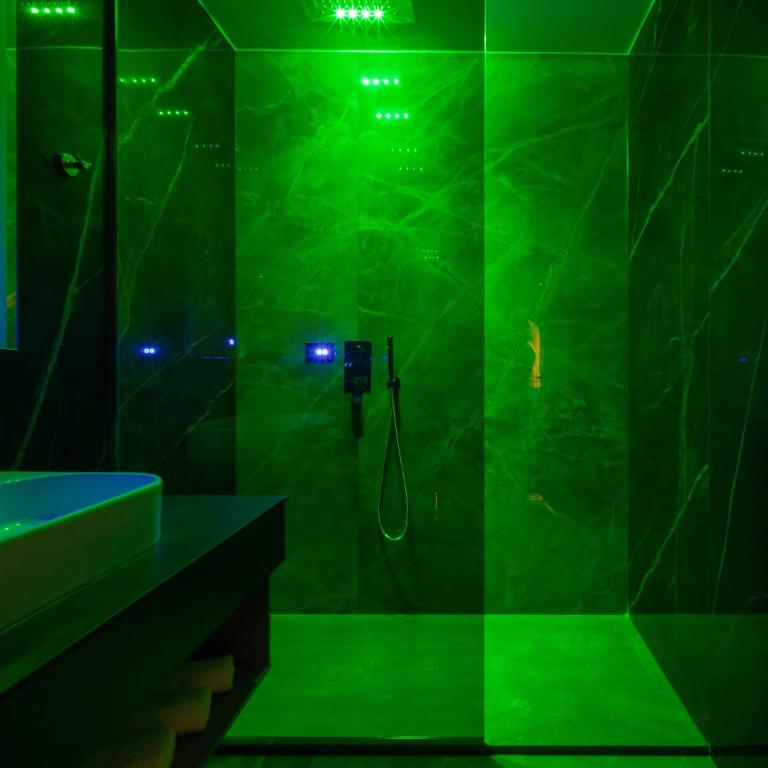 Luxury Apartments Palata - Stan Infinity - Deluks Apartman s 1 Spavaćom Sobom - 16
